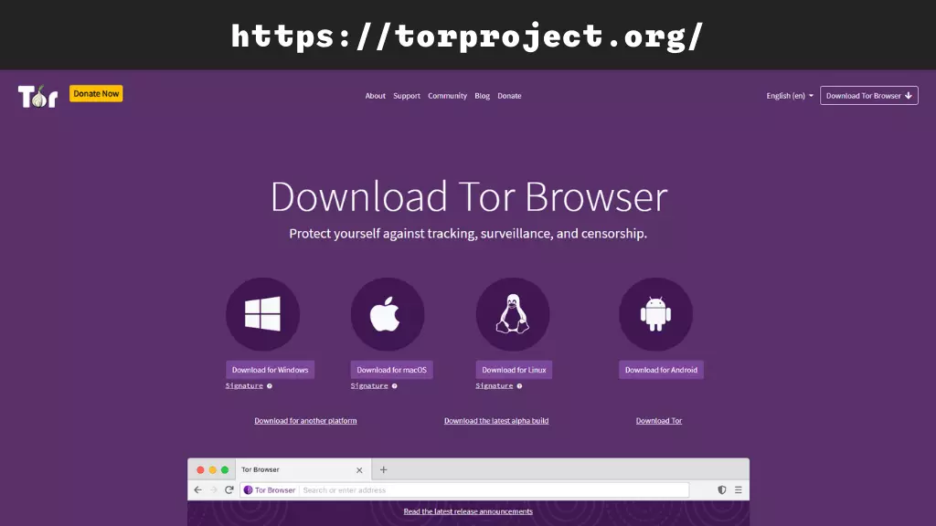 hidden wiki how to install tor browser